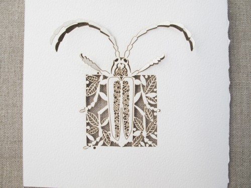 Intricate Cut Paper Beetle Card 500x375