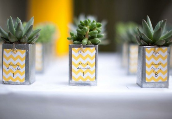 speaking of succulents how amazing are these DIY wedding favors