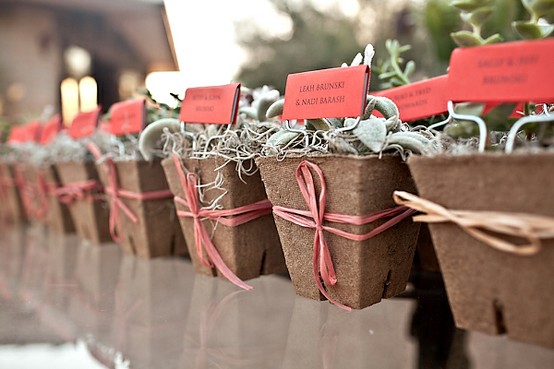 Succulent Seating Cards