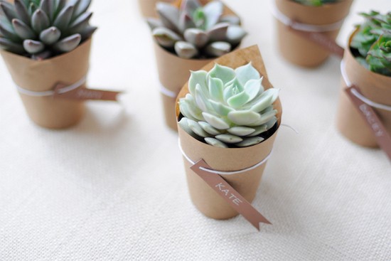 Succulent Seating Cards2 Wedding Details Escort Cards and Place Cards