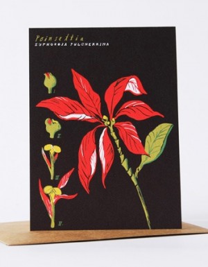 Yellow Owl Workshop Offset Poinsettia Holiday Card 300x385
