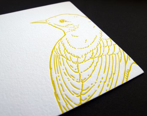 6a00e554ee8a22883301156f3d21a9970c 500wi Julie + Todd Illustrated Bird Wedding Invitations