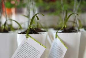 spring-green-wedding-invitation-favor_02