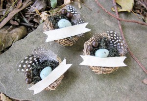 Rustic-Blue-Brown-Quail-Feather-Place-Cards