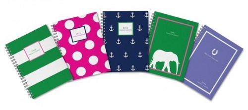 preppy and cute 2011 weekly planner