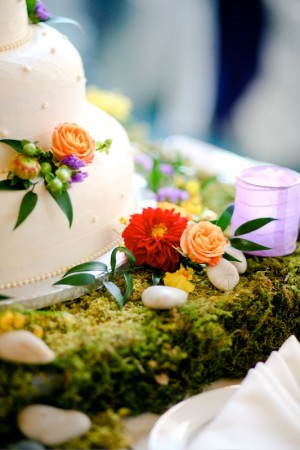 Old-Tom-Foolery-Wedding-Lauren-Joel-Cake