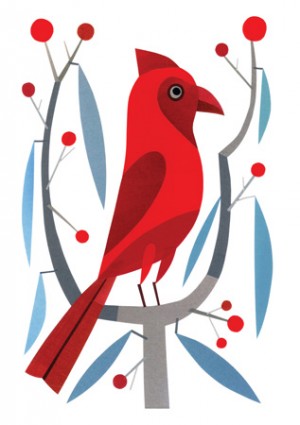 Urubbu-Cardinal-Card