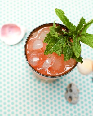 Cocktail Friday Recipe: The Queen's Park Swizzle via Oh So Beautiful Paper (16)