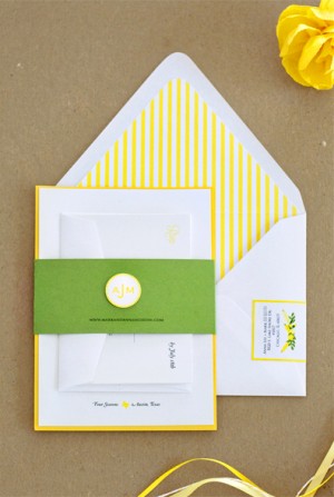 Wedding Invitations by Lavender Blue via Oh So Beautiful Paper (9)