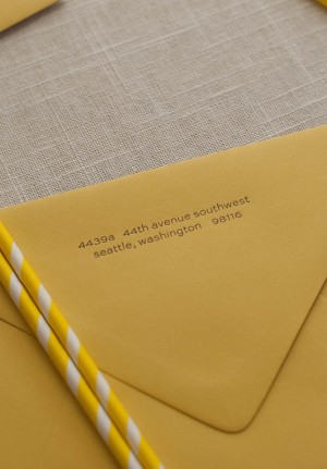 Lion Letterpress Baby Announcements by Pink Orchid Press via Oh So Beautiful Paper (5)