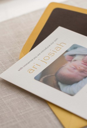 Lion Letterpress Baby Announcements by Pink Orchid Press via Oh So Beautiful Paper (7)