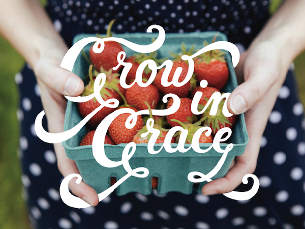 Grow in Grace by Todd Wendorff and Anna Zajac