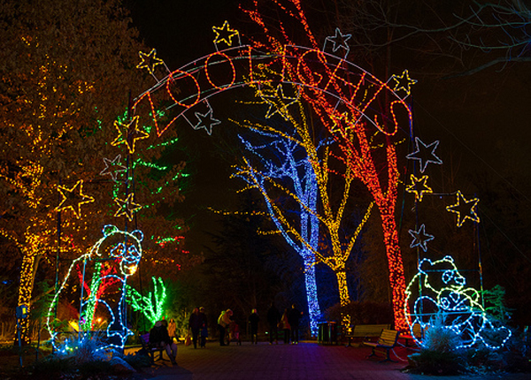DC-Guide-Winter-Activities-Zoo-Lights