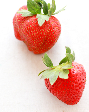 Cocktail-Recipe-Ideas-Strawberry-Rhubarb-Shrub-OSBP-12