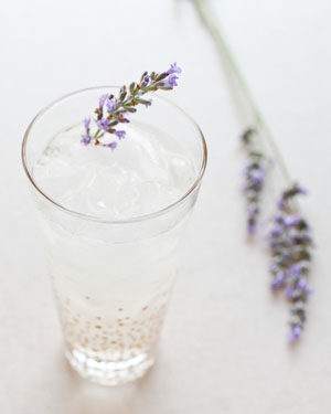 Lavender-Lemonade-Gin-Cocktail-Recipe-OSBP-19