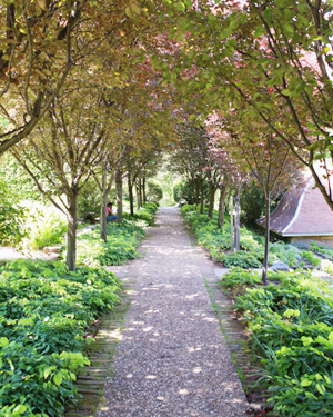 OSBP-Dumbarton-Oaks-Gardens-Summer-2014-12