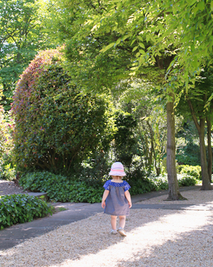 OSBP-Dumbarton-Oaks-Gardens-Summer-2014-17