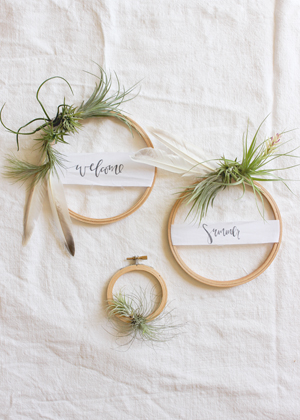 DIY Tutorial: Summer Air Plant Wreath for Weddings and Cocktail Parties via Oh So Beautiful Paper