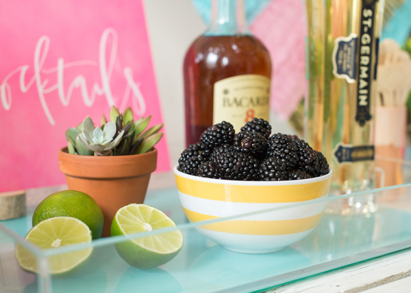 Summer Frozen Cocktail Party Inspiration by Oh So Beautiful Paper / Photo by Sweet Root Village