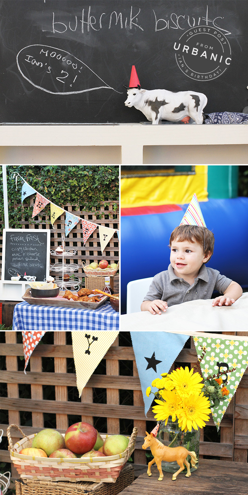 Farm Fresh Birthday Party
