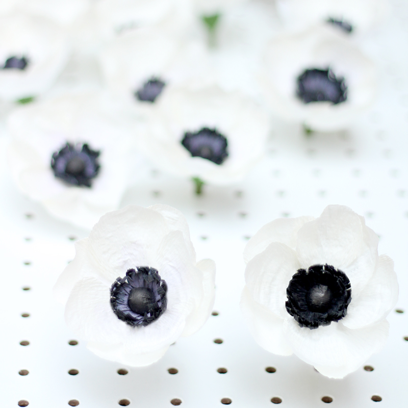 01-Appetite-Paper_The-Anemone-Paper-Flower-Guide