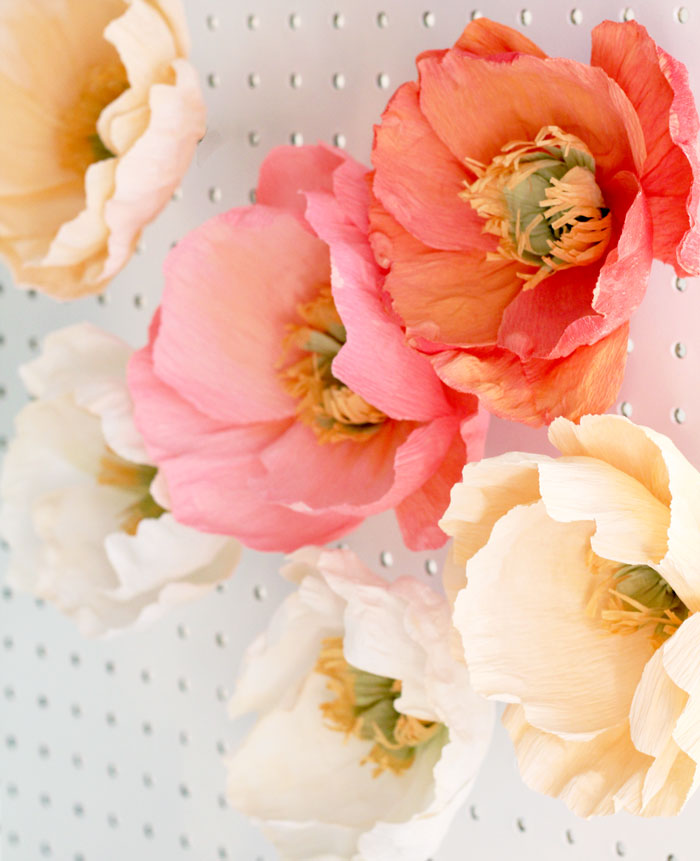 Fresh Cut Paper Flowers: Icelandic Poppies by Appetite Paper for Oh So Beautiful Paper