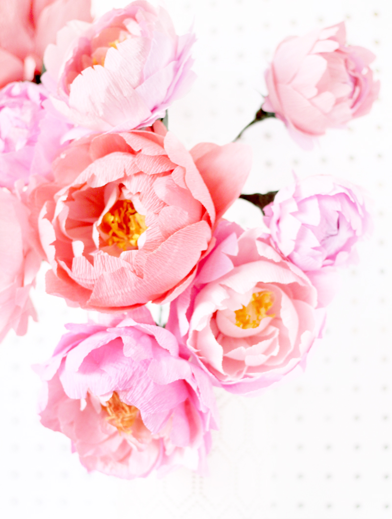 Fresh Cut Paper Flowers: Peonies by Appetite Paper for Oh So Beautiful Paper