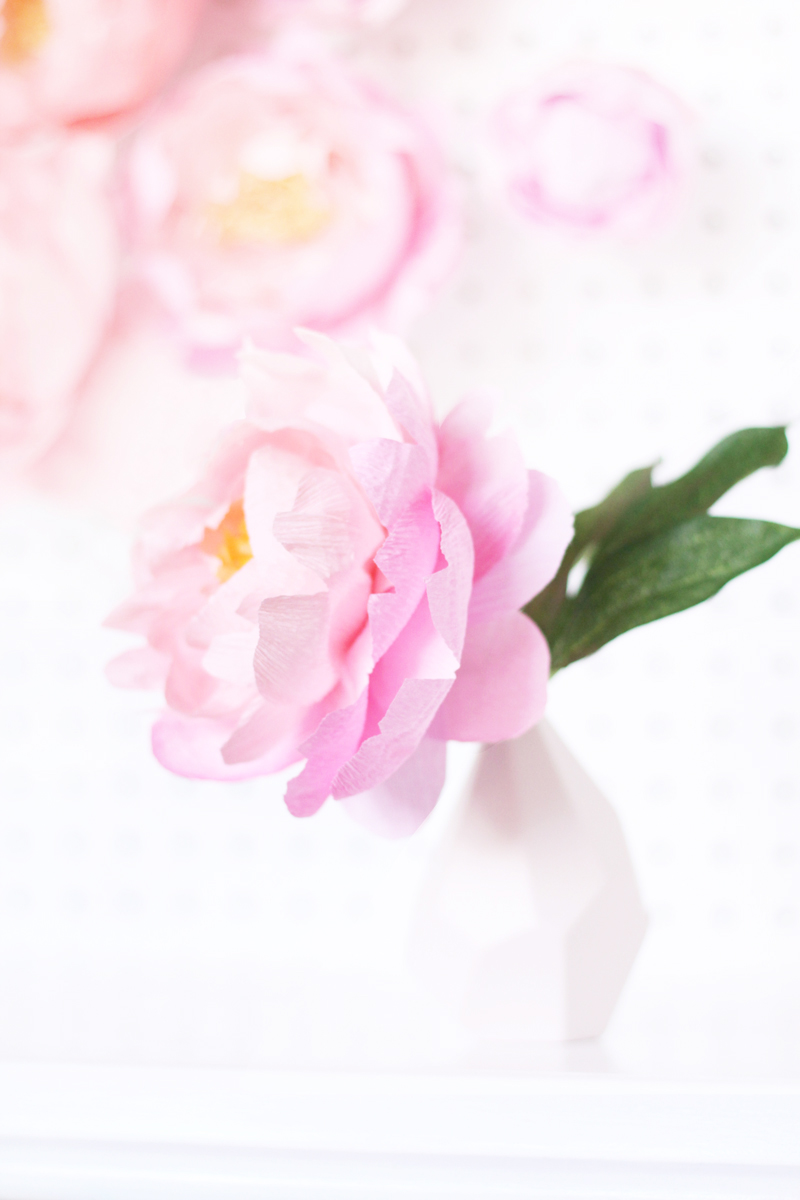 Fresh Cut Paper Flowers: Peonies by Appetite Paper for Oh So Beautiful Paper