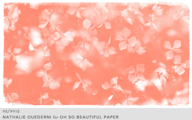 Nathalie-Ouederni-Desktop-Wallpaper-Floral