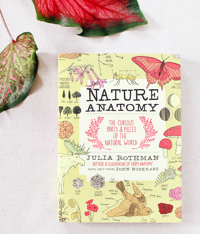 Nature Anatomy by Julia Rothman / Storey Publishing / Oh So Beautiful Paper