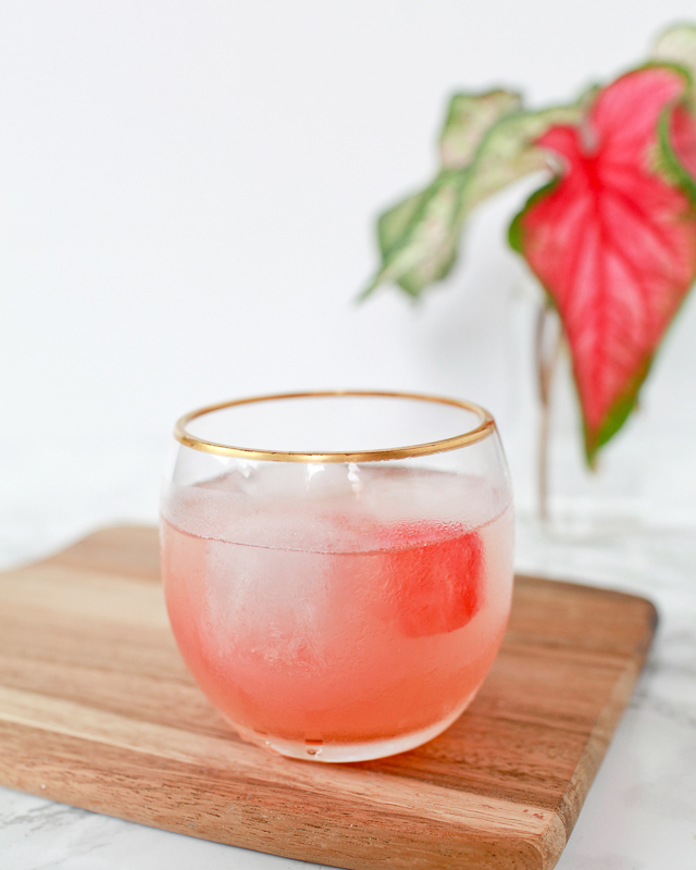 Watermelon Cilantro Mezcal Margarita / Cocktail Recipe by Liquorary / Oh So Beautiful Paper