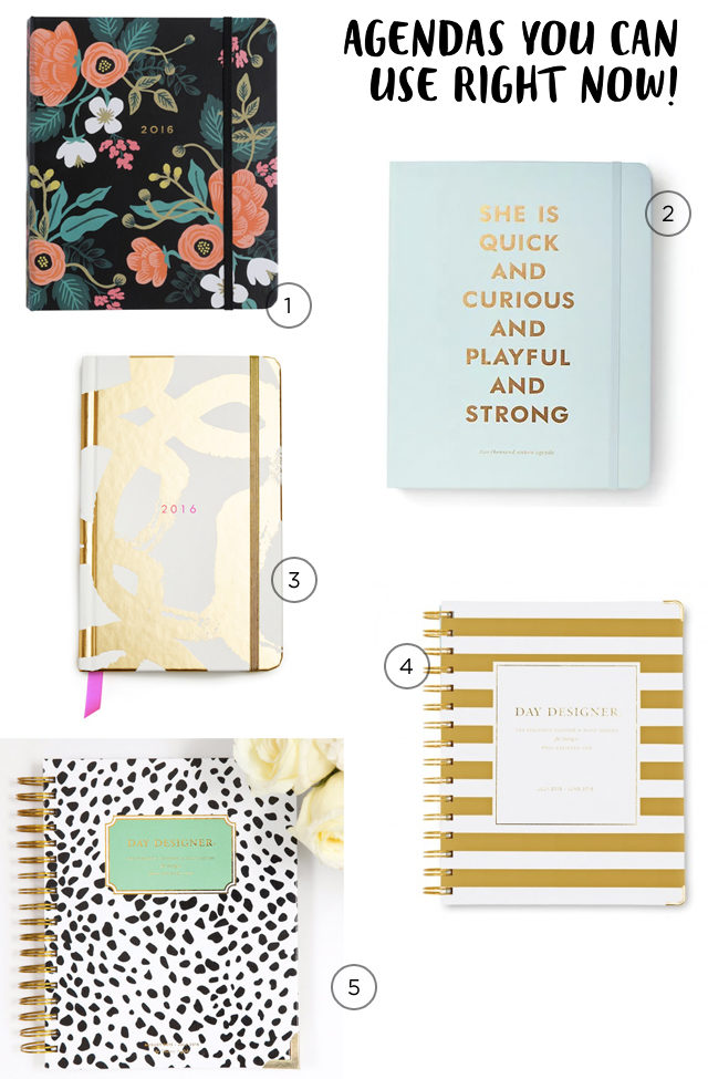 Five 2015-2016 Planners You Can Use Right Now / Oh So Beautiful Paper