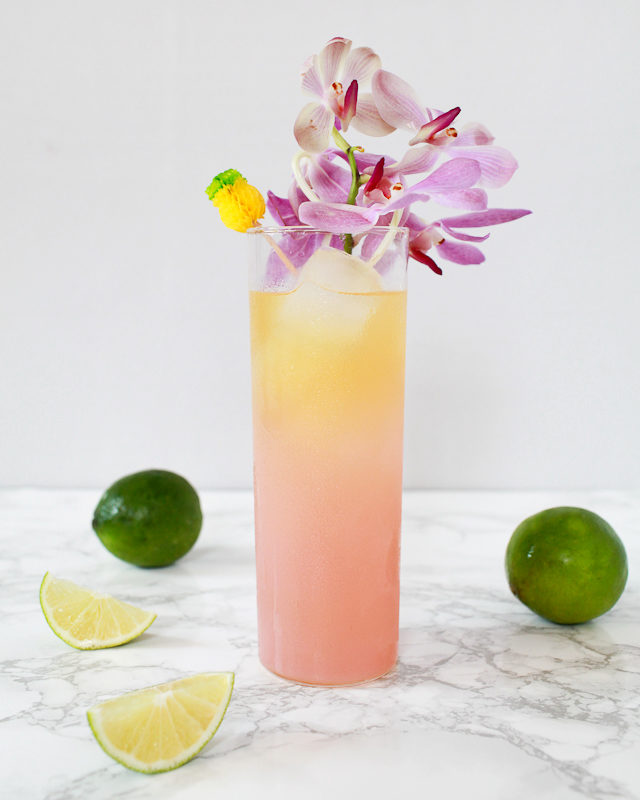 South Seas Sling Tiki Cocktail Recipe / Liquorary for Oh So Beautiful Paper