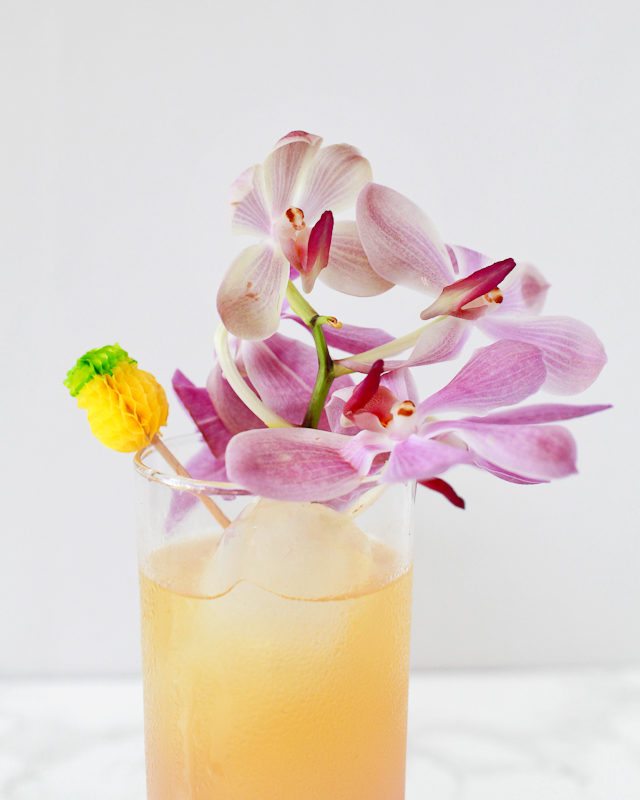 South Seas Sling Tiki Cocktail Recipe / Liquorary for Oh So Beautiful Paper