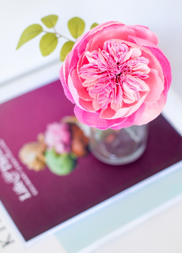 Fresh Cut Paper Flowers: Crepe Paper David Austin Roses / Appetite Paper for Oh So Beautiful Paper