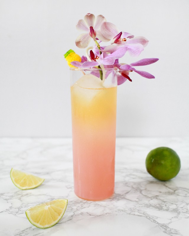 The Best Cocktail Recipes of 2015: South Seas Sling Tiki Cocktail Recipe by Liquorary for Oh So Beautiful Paper