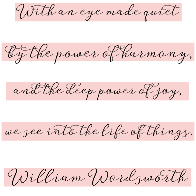 Well Said Type: Modern and Chic Script font Guess / Oh So Beautiful Paper