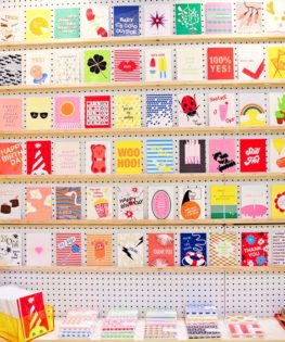 NSS 2016: Anne and Kate / Oh So Beautiful Paper