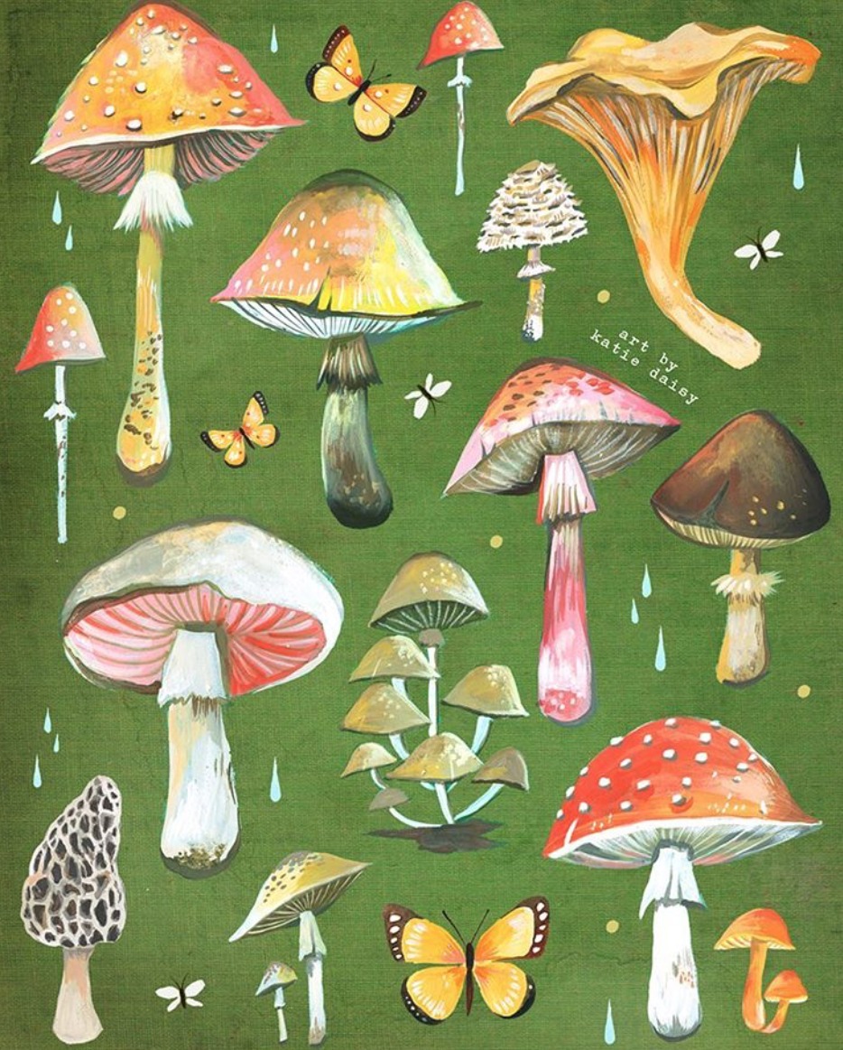 The World of Illustration: Botanical Illustrations by Katie Daisy