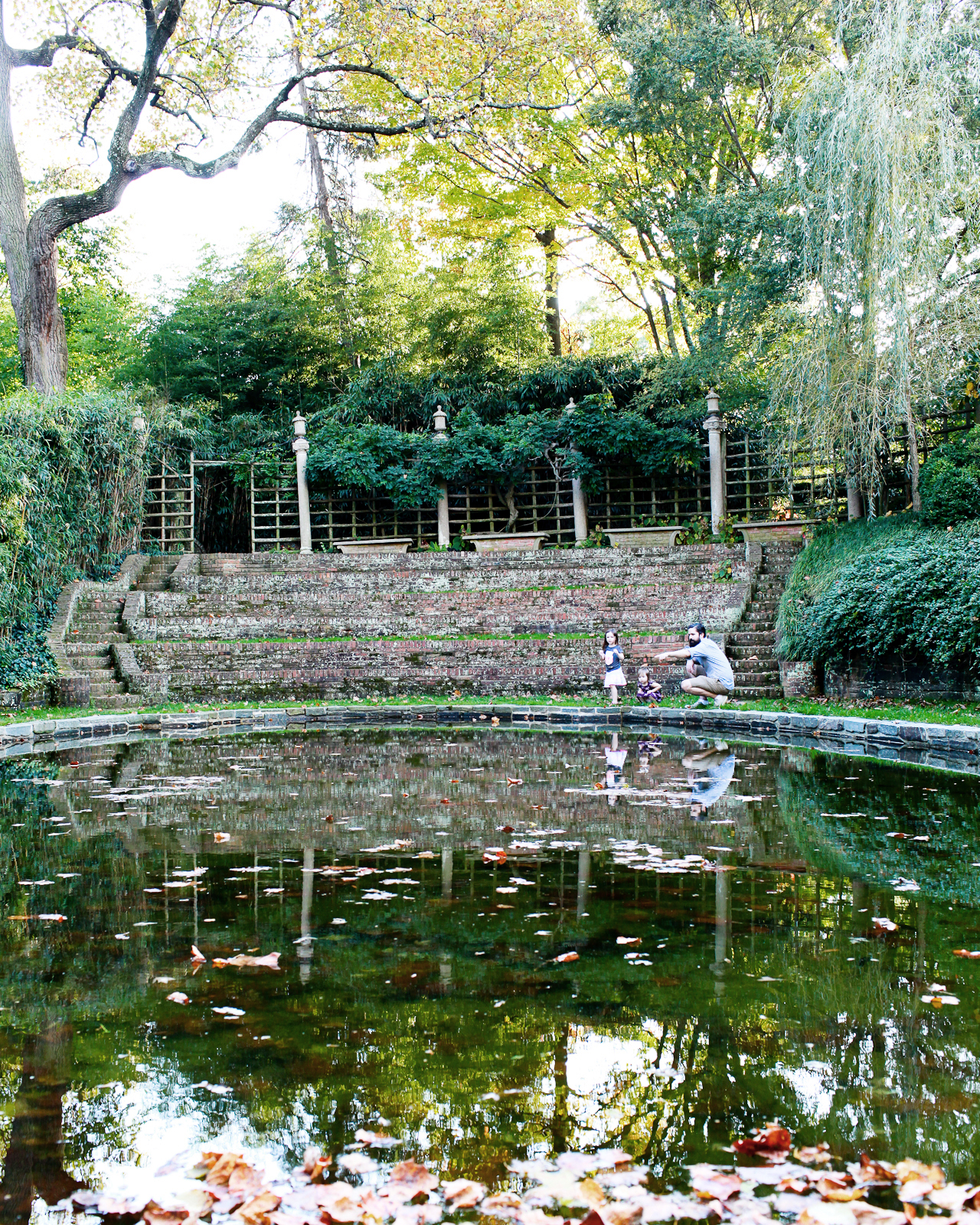 DC Guide - Fall Foliage Destinations: Dumbarton Oaks Gardens