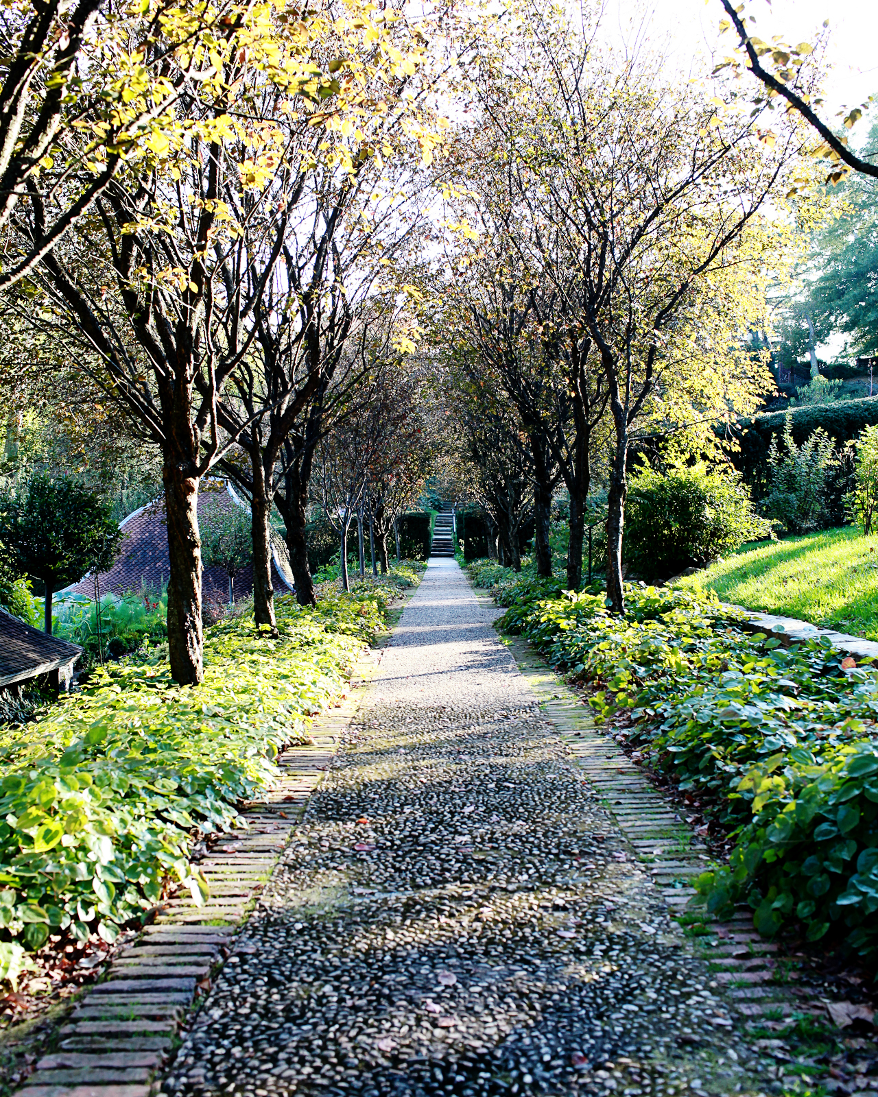 DC Guide - Fall Foliage Destinations: Dumbarton Oaks Gardens