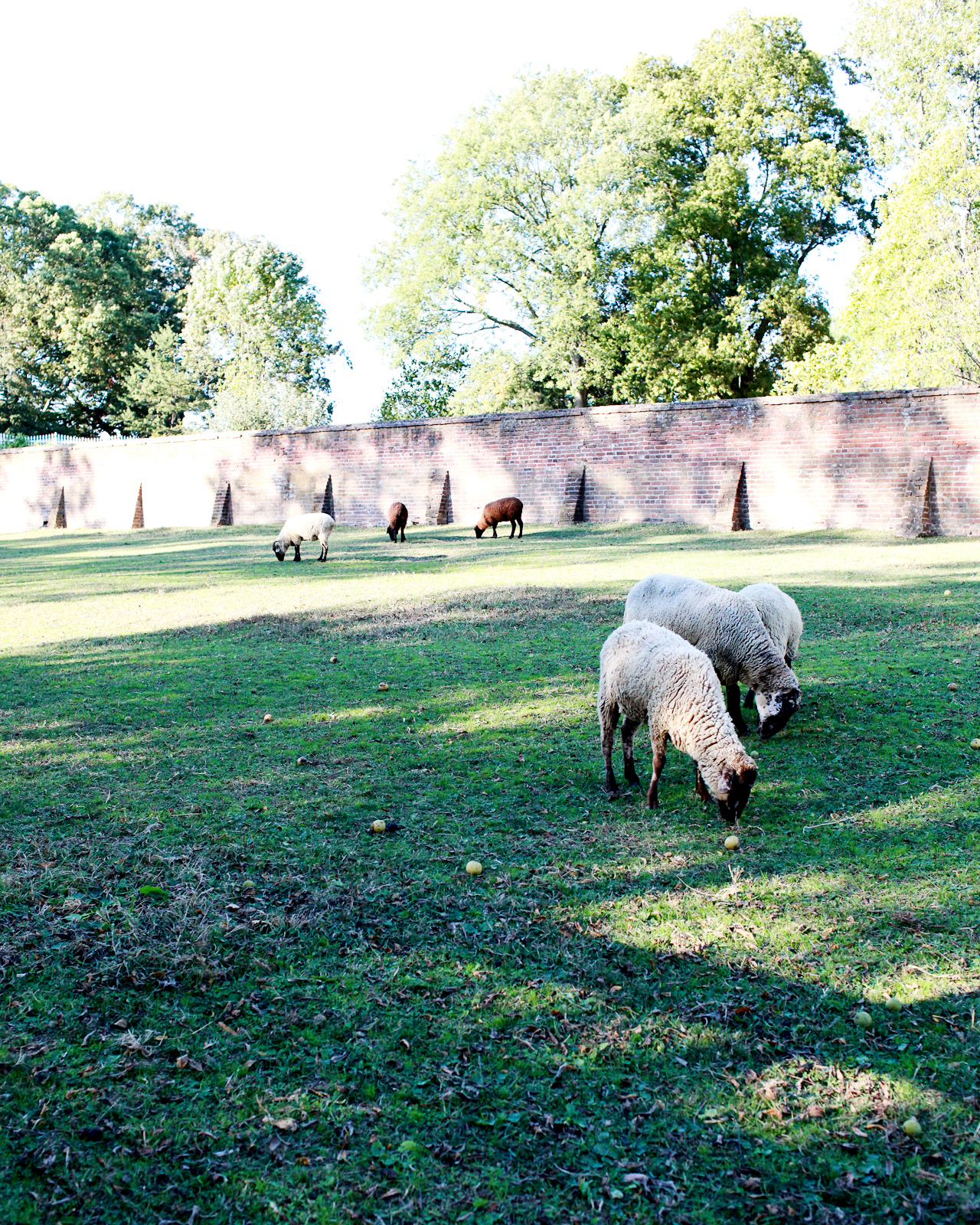 DC Guide - Fall Foliage Destinations: George Washington's Mount Vernon Estate