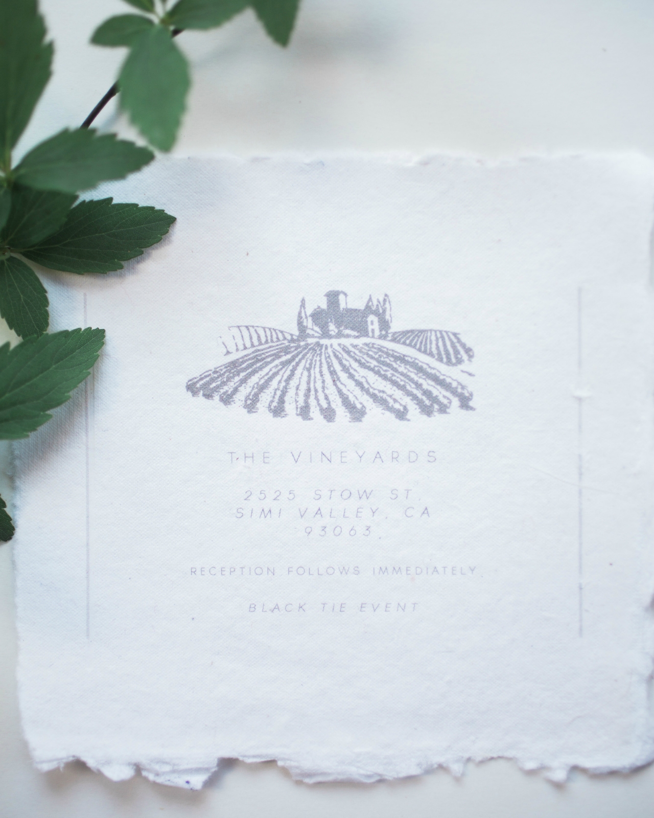 Ethereal Vellum Wedding Invitations by KidGolightly Calligraphy