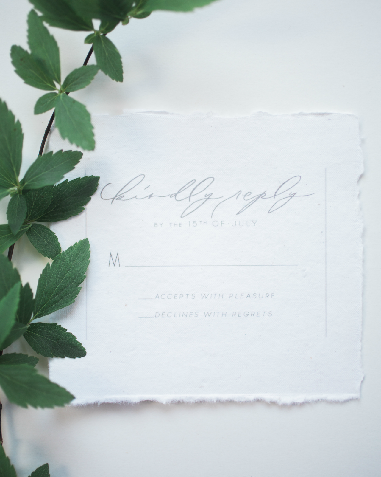 Ethereal Vellum Wedding Invitations by KidGolightly Calligraphy