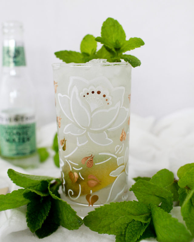 Elderflower Tequila Rickey