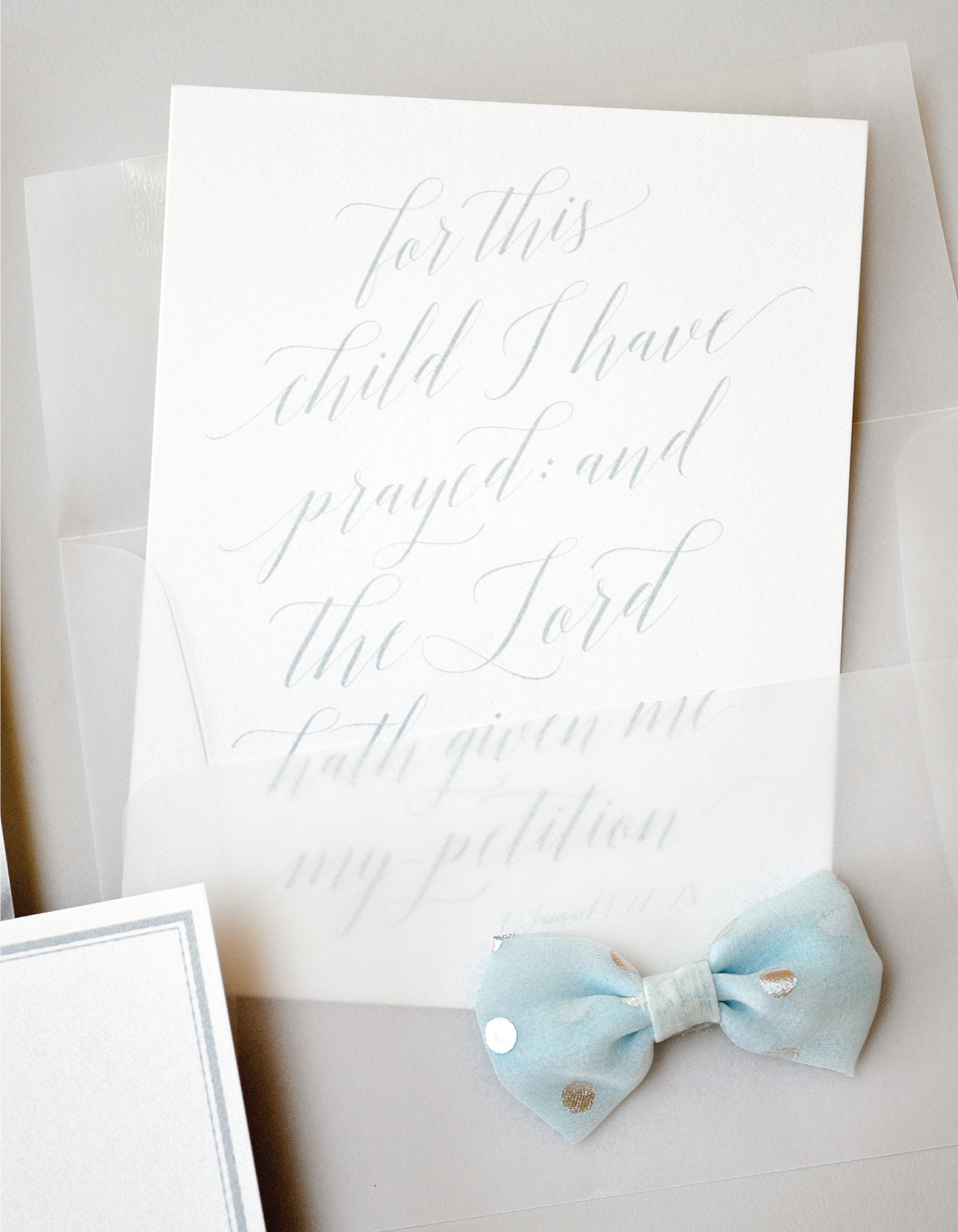 Refined Powder Blue and Vellum Baby Announcements