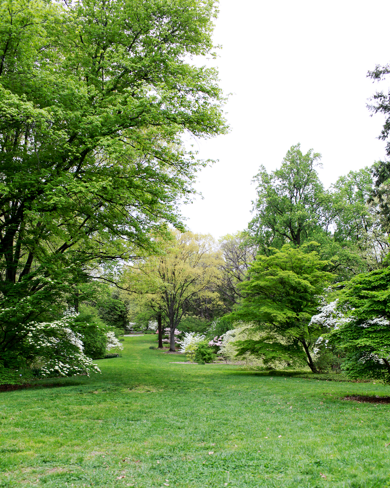 Spring at the National Arboretum