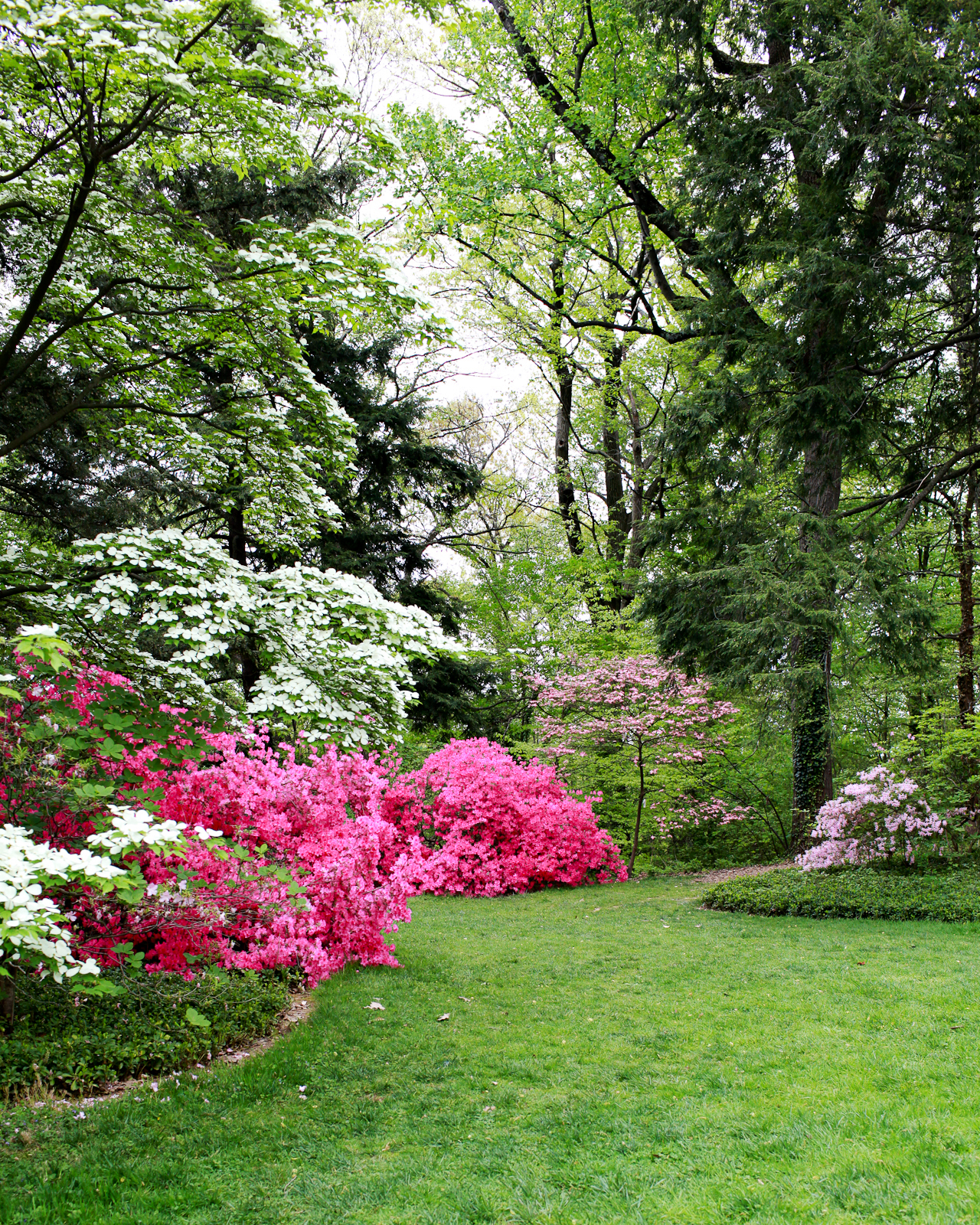Spring at the National Arboretum