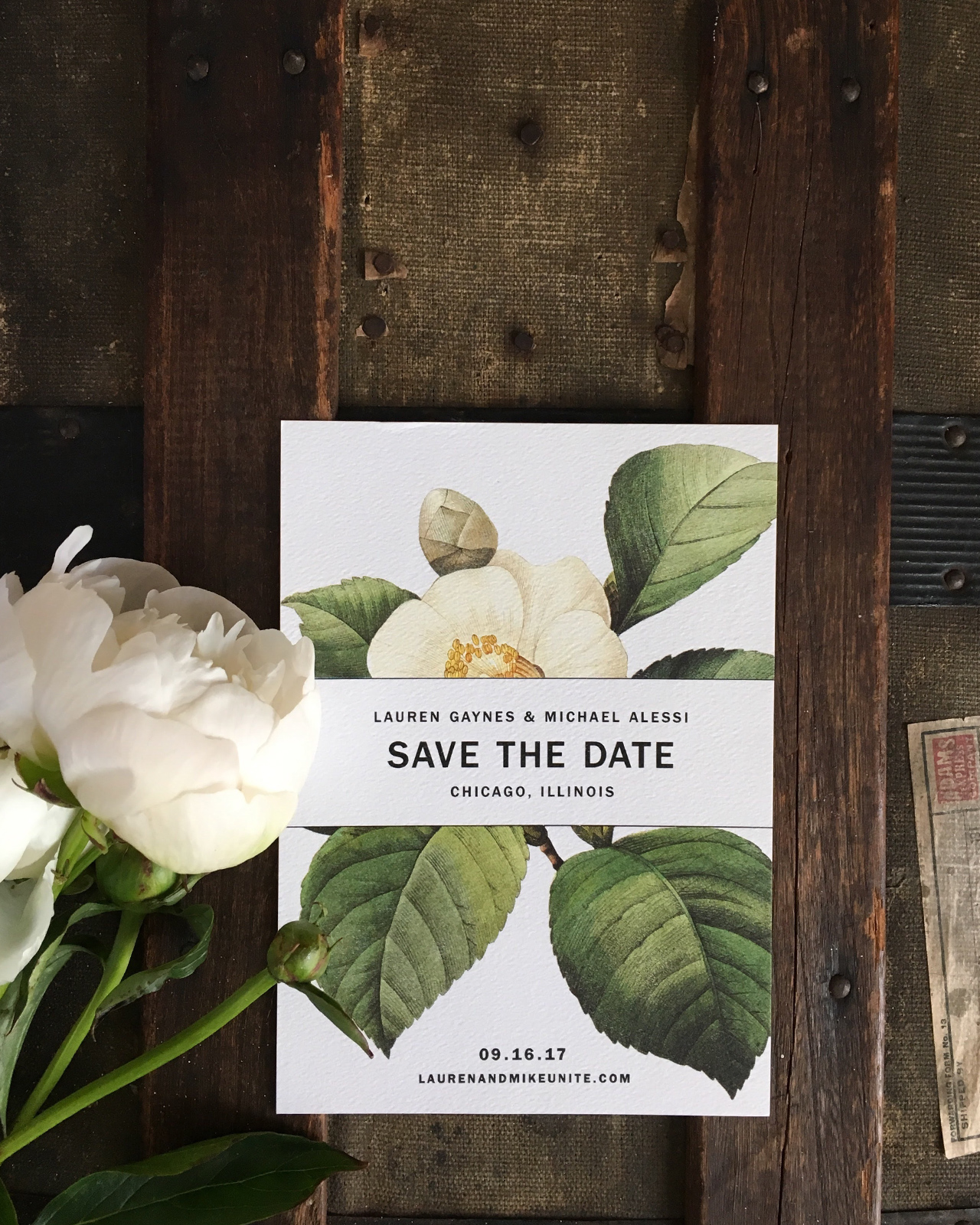 Modern Botanical Chicago Wedding Invitations by Christina Egan Chang