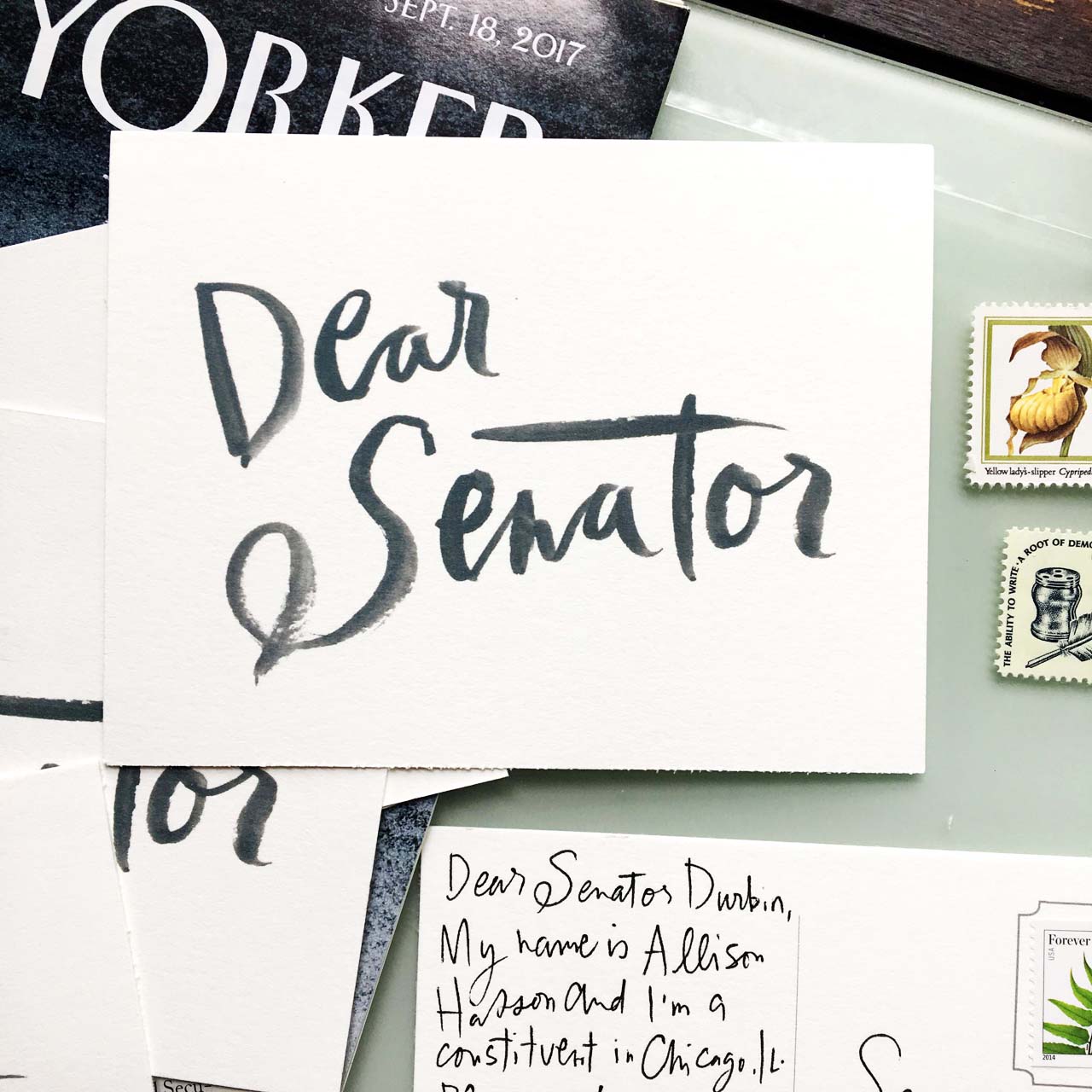 Printable Dear Senator and Dear Representative Postcards